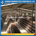 Control automático Diseño de estructura de acero de bajo costo ChickenEgg or Layer Poultry Farm